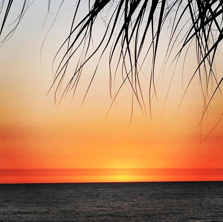 201 Sandy Shores Condos St. Pete Beach Kültér fotó